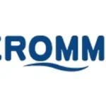 Erommy Review & Complete Guide: Outdoor Living, Gazebos, Pergolas & Home Solutions Explained