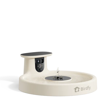 Birdfy Review: Smart Bird Feeders, AI Bird Recognition & The Future of Backyard Birdwatching