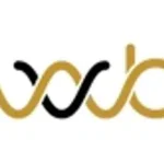 WaveBlock Review & Complete Guide: EMF Protection, Wellness & Smart Living Solutions